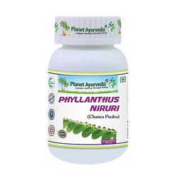 Planet Ayurveda Chanca Piedra extrakt 10:1 500 mg 60 kapslí